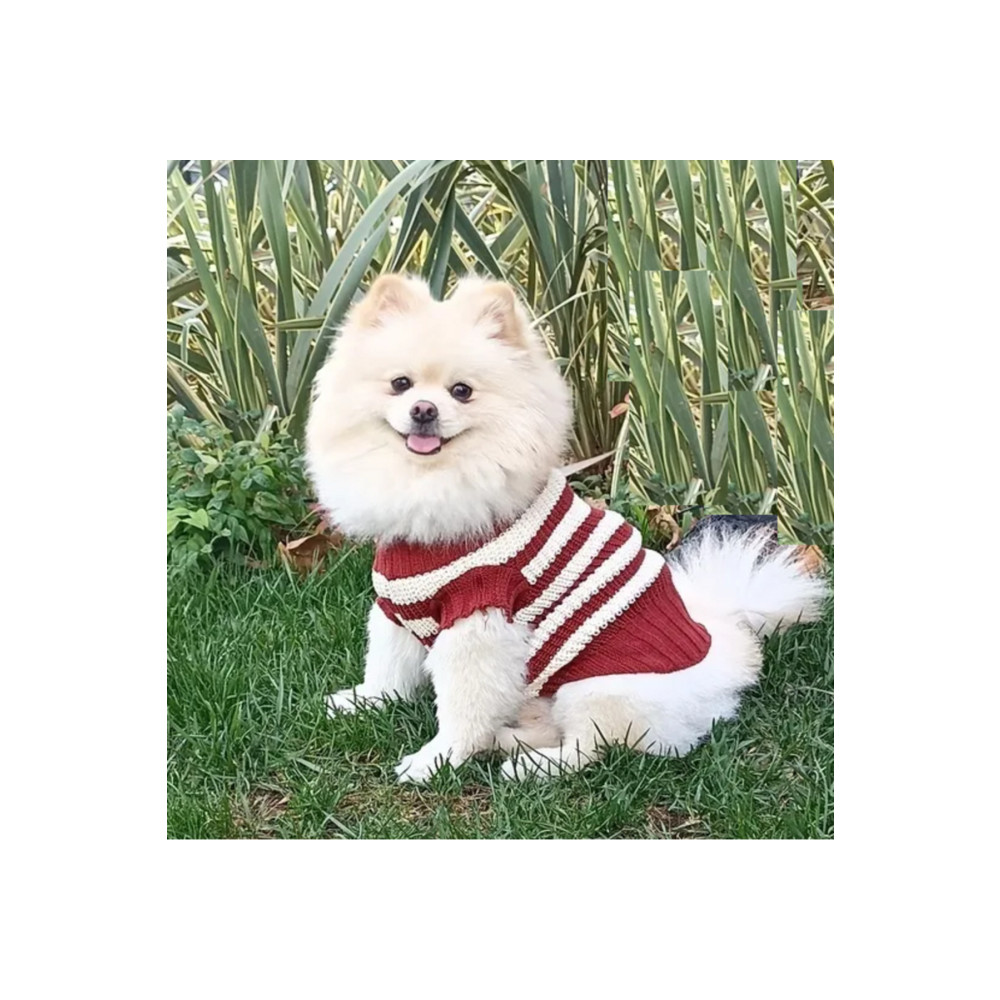 faramiss fashion SELANİK ÖRGÜ KEDİ KAZAK KÖPEK KAZAK FARAMİSSPET M Beden Evcil Hayvan Ürünleri Fiyatı
