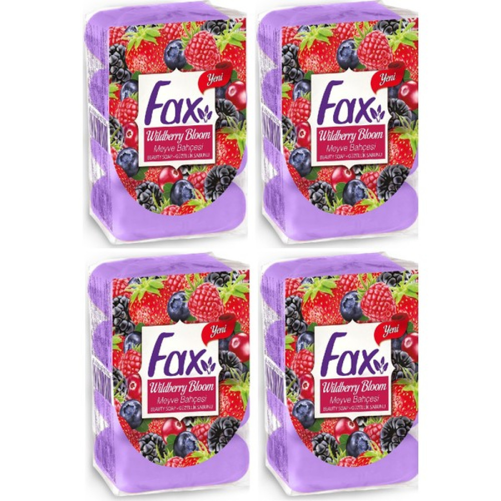 Fax Güzellik Sabunu Meyve Bahçesi 16X70 1120GR Oto Boyaları Fiyatı