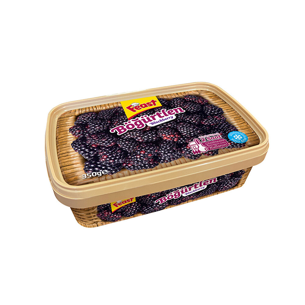 Feast Bogurtlen 350 G Dondurulmuş Gıda Fiyatı