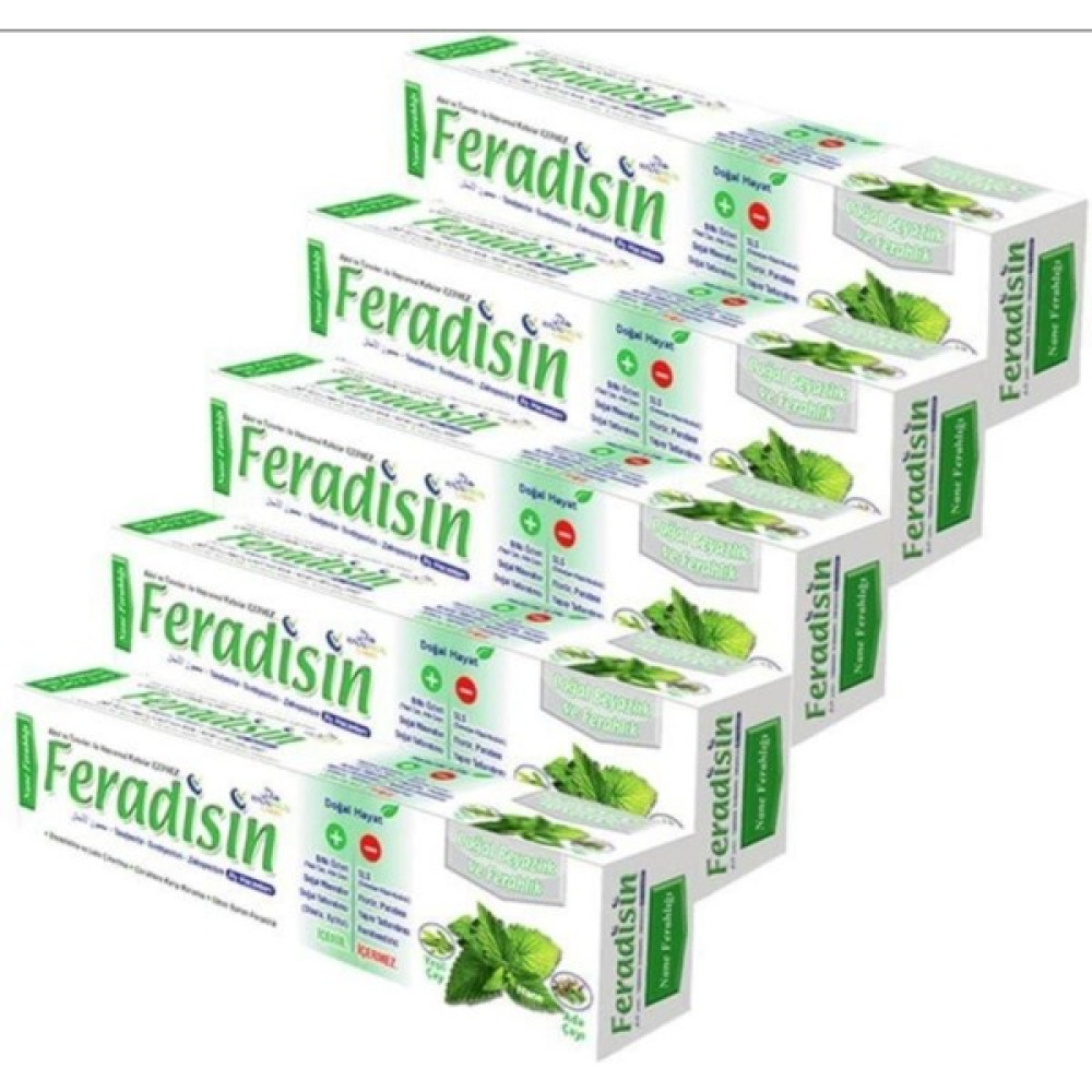 Feradisin Diş Macunu Nane Ferahlığı 90GR - 5 Adet Oto Boyaları Fiyatı