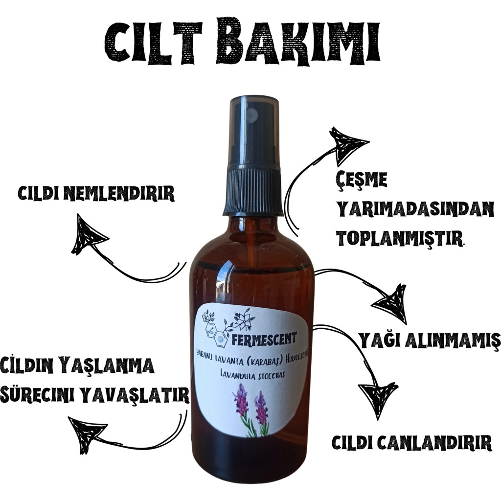 Fermescent Yabani Lavanta Karabaş Hidrosolü Suyu - Anti Aging Yaşlanma Karşıtı Cilt Nemlendirici Diğer Fiyatı