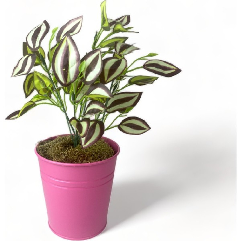 Feronya 2 Adet Renkli Dekoratif Galvaniz Saksı, Renkli Dekoratif Metal Saksı [fuşya] 14 * 14CM Saksı ve Aksesuarları Fiyatı