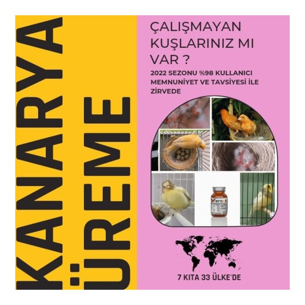 Feroxit Feroxit-Kanaryalar Için Mucize Toz Karışım 20 gr Evcil Hayvan Ürünleri Fiyatı
