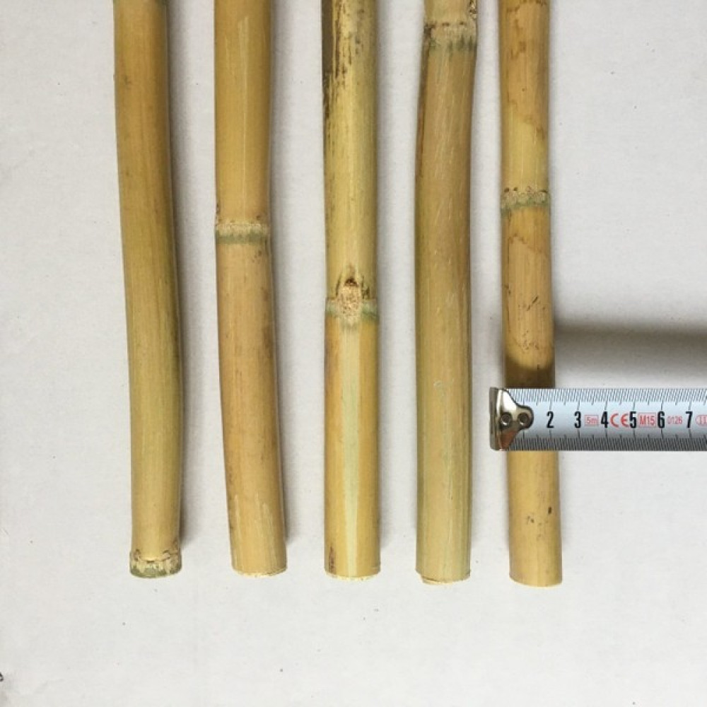 Fidan Destek Çubuğu Kamış 80-90CM 25 Adet Fidan Fiyatı
