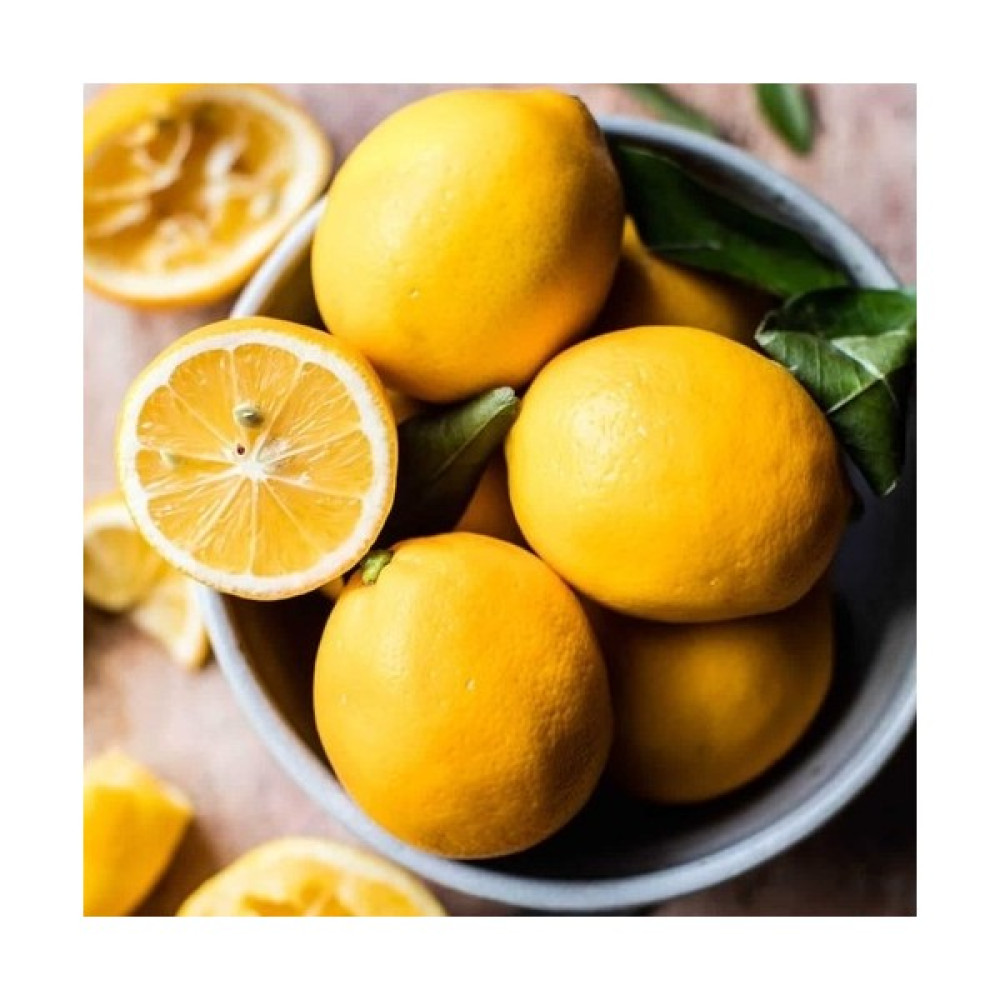 Fidan Merkezi 5 Yaş Aşılı Yediveren Mayer Limon Fidanı Fidan Fiyatı