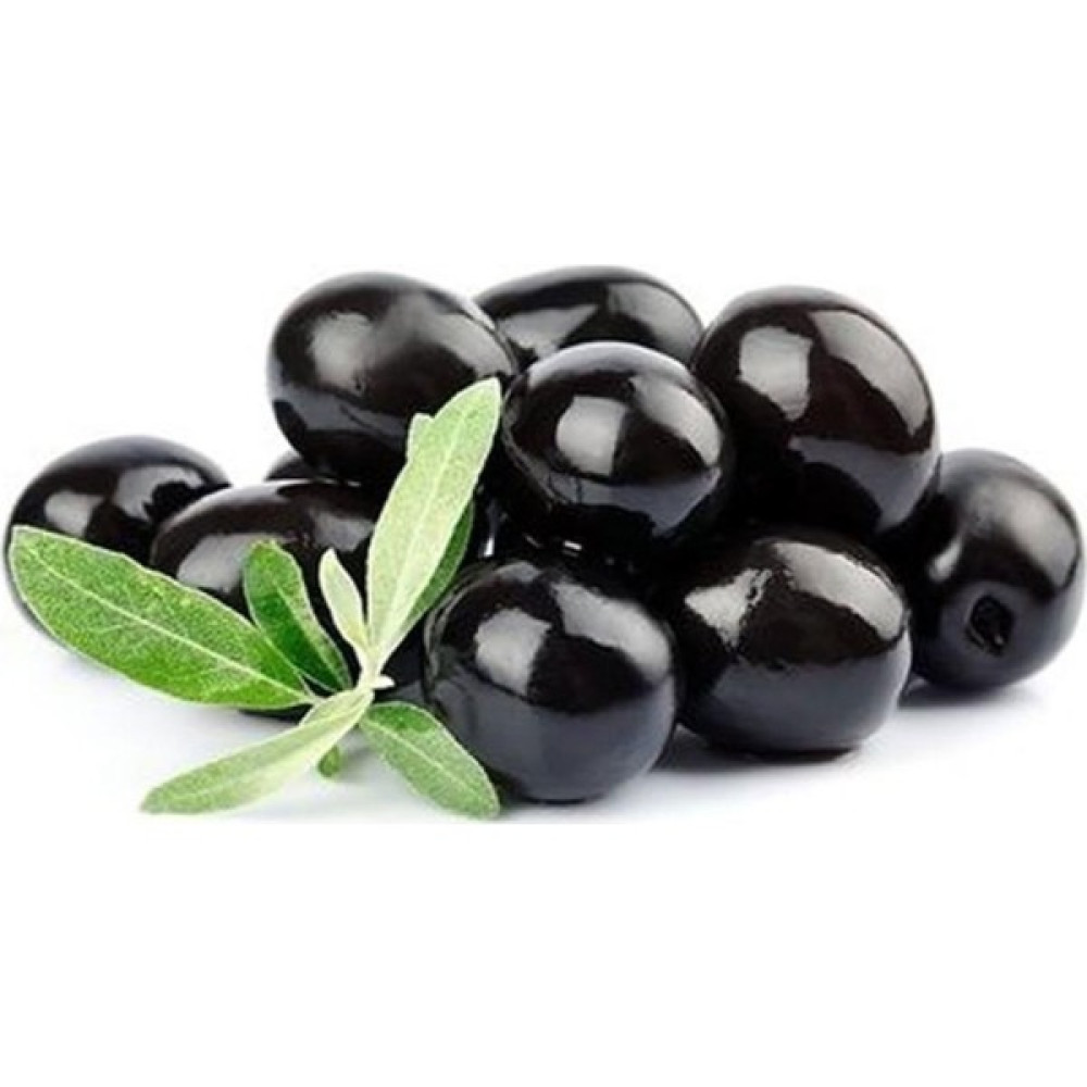 Fidan Ofisim Zeytin Fidanı Gemlik 80 - 100 cm Fidan Fiyatı