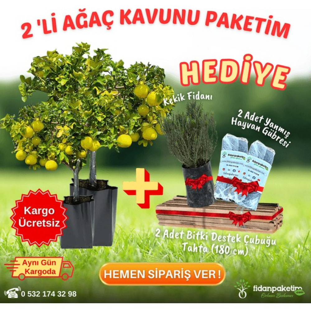 Fidan Paketim 2 Li Ağaç Kavunu Şadok Paketim Fidan Fiyatı
