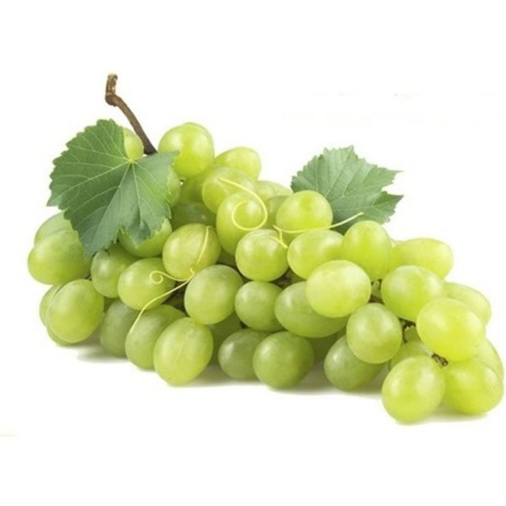 Fidan Peyzaj Fidan & Peyzaj - Superior Seedless Çekirdeksiz Asma Fidanı (Sofralık / Erkenci / Açık Kök) - Açık kök Fidan Fiyatı