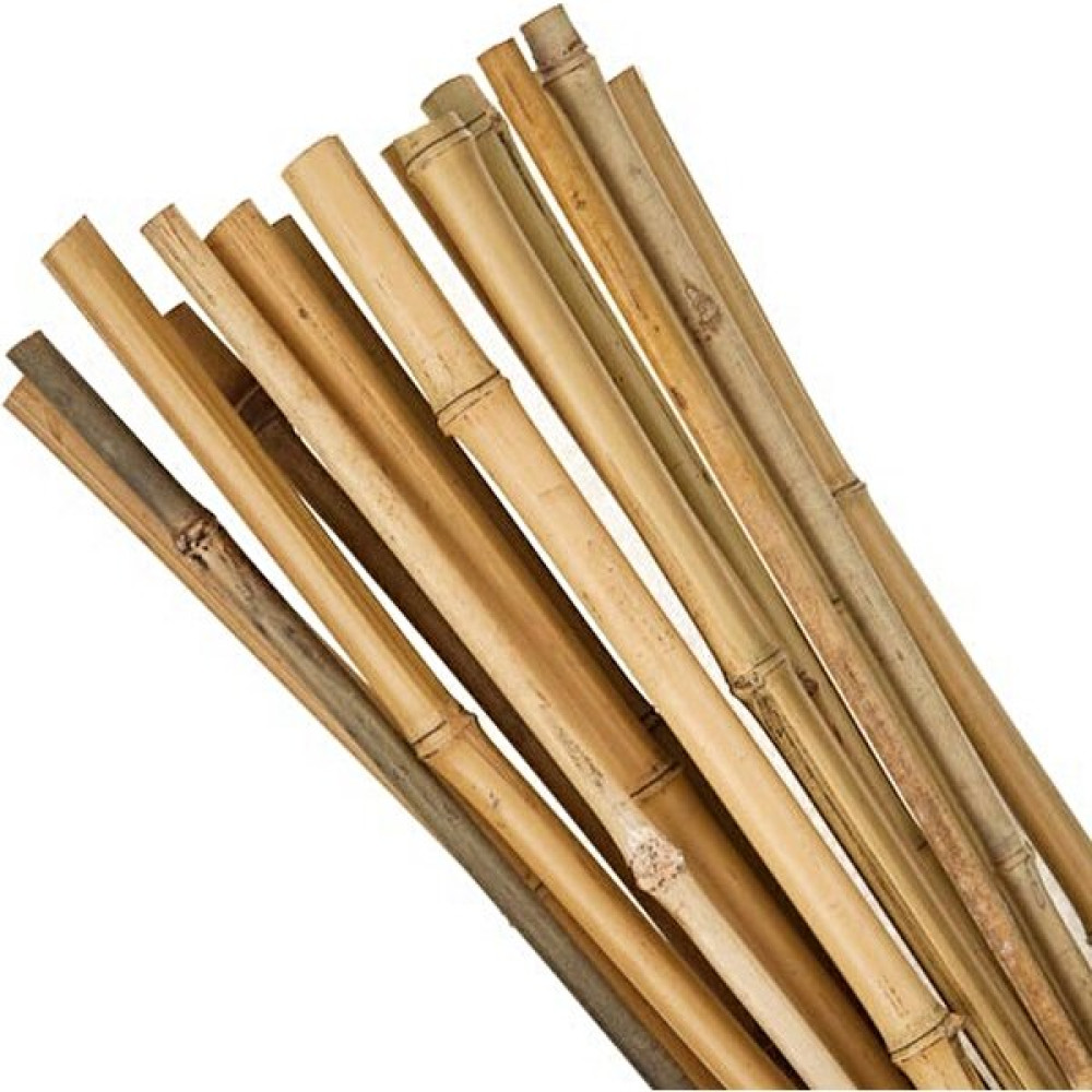 Fidan Sahası Fidan Destek Çubuğu Kamış 140-150 cm Boy (10'lu Paket) Fidan Fiyatı