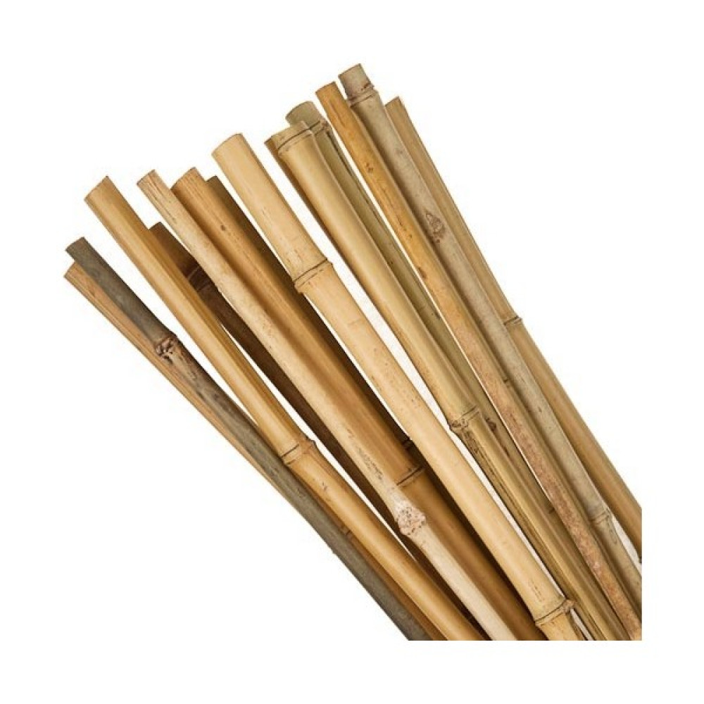 Fidan Sahası Fidan Destek Çubuğu Kamış 80-90 cm Boy (10'lu Paket) Fidan Fiyatı