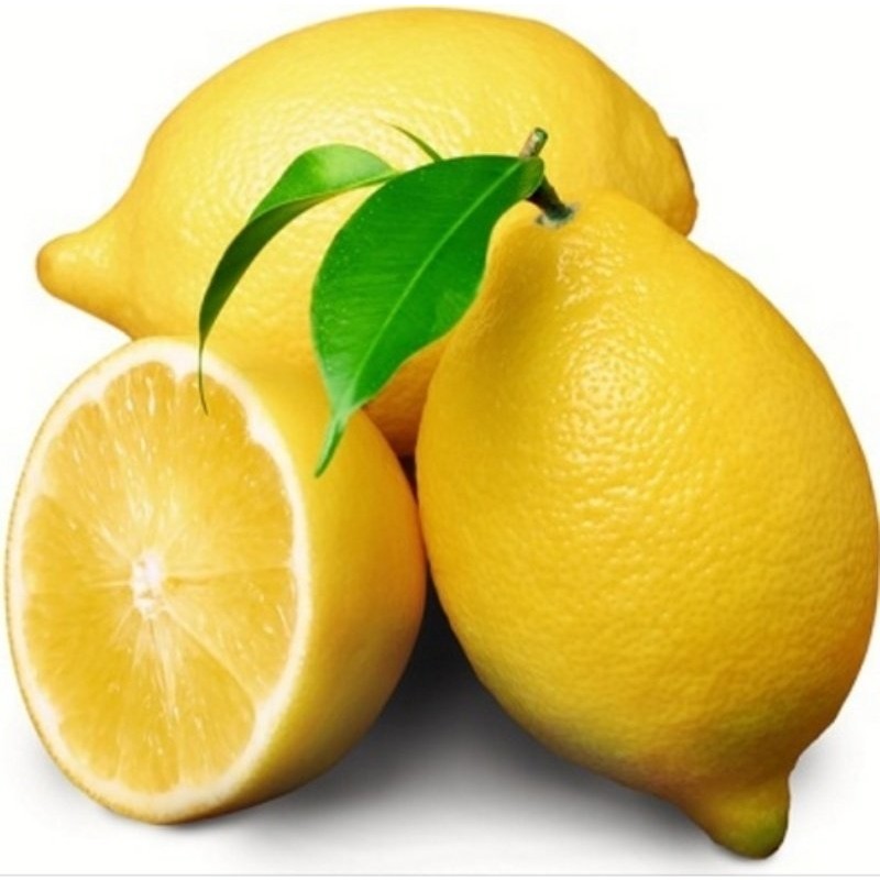 Fidan Sahası Tüplü Bodur Saksılık Enterdonat Limon Fidanı 4 Yaş 80-100 Boy Saksı ve Aksesuarları Fiyatı