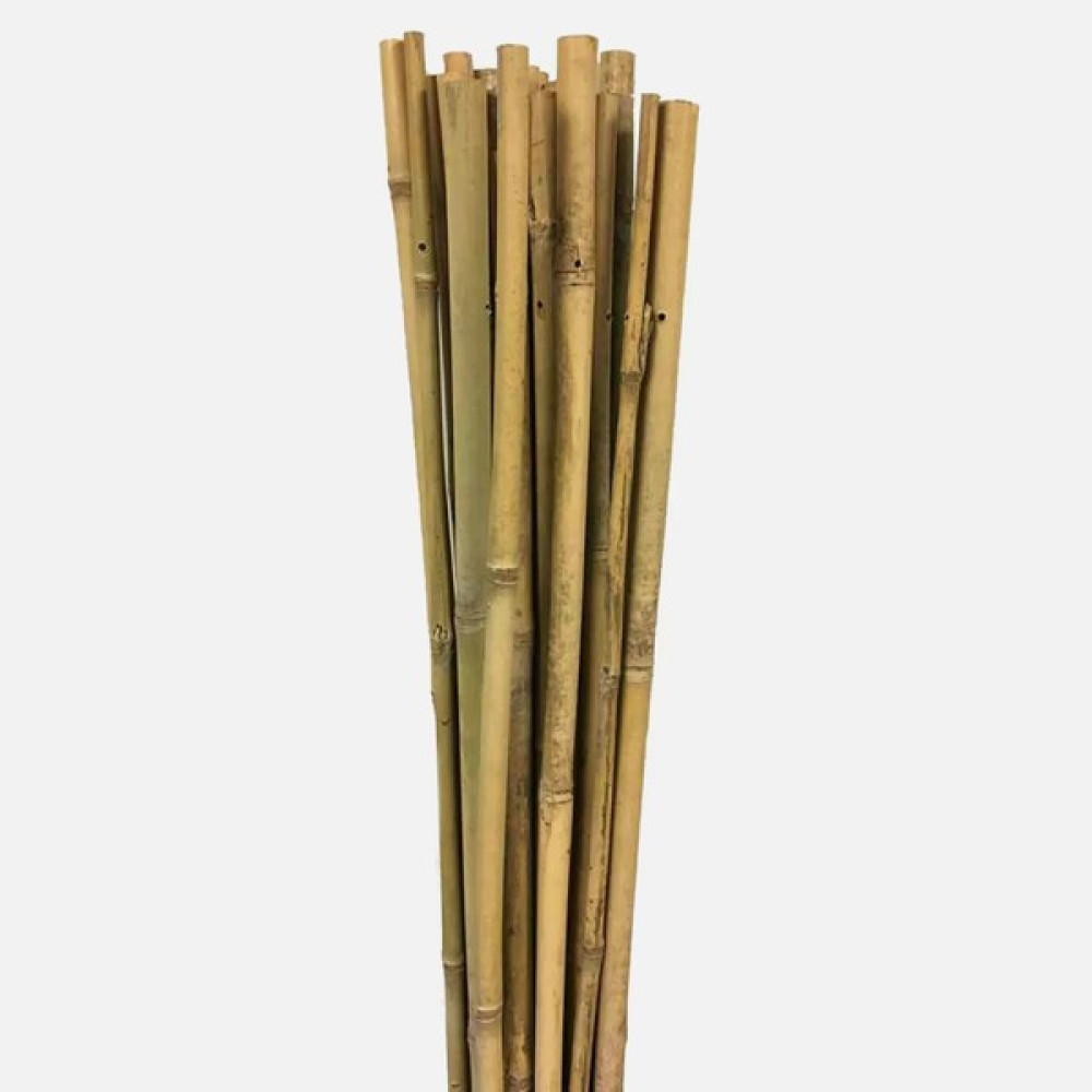Fidan Sepetim Fidan Dikim Destek Çubuğu 10 Adet (150 cm) Bitki Fiyatı