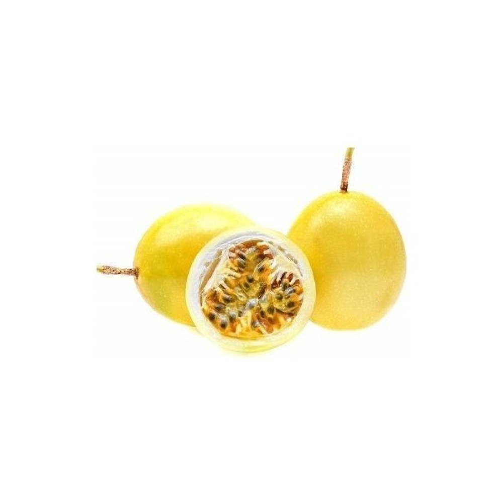 Fidanistanbul Maruçya Fidanı Sarı Meyveli Çarkıfelek Passiflora Edulis Panama Gold 40 60 cm Saksıda - 1 Adet Oto Boyaları Fiyatı