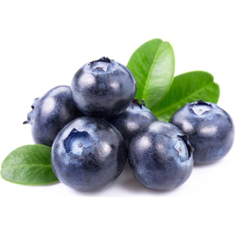 Fidanistanbul Yaban Mersini Fidanı Blueberry Jubile Saksılı Fidan Fiyatı
