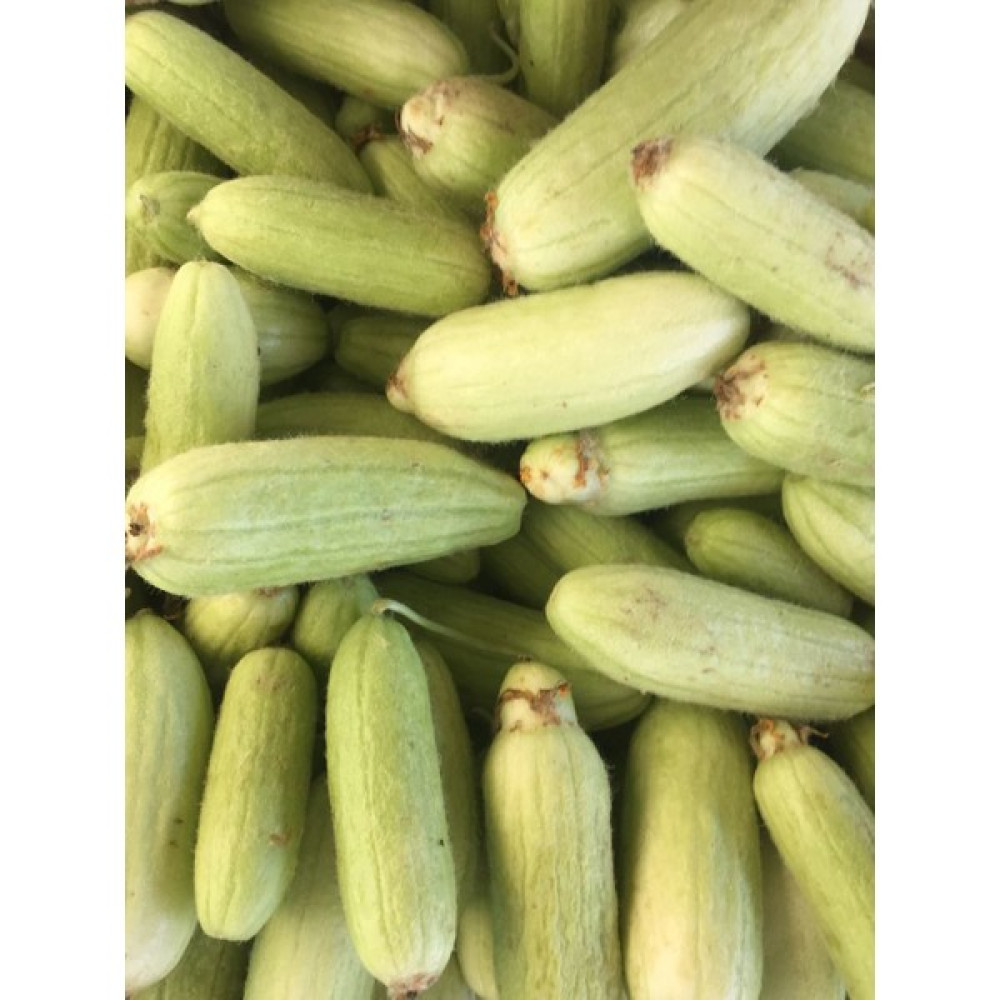 Fide Sepeti Acur (Kısa-Badem) Tohumu 10GR 1 Paket - 10 gr Tohum Fiyatı