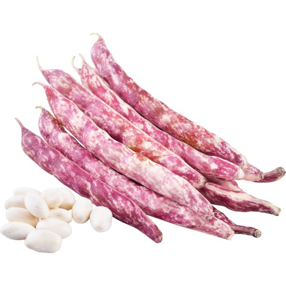 Fide Sepeti Barbunya Tohumu (Barbi) 2Kg 1 Paket - 1 Adet Tohum Fiyatı