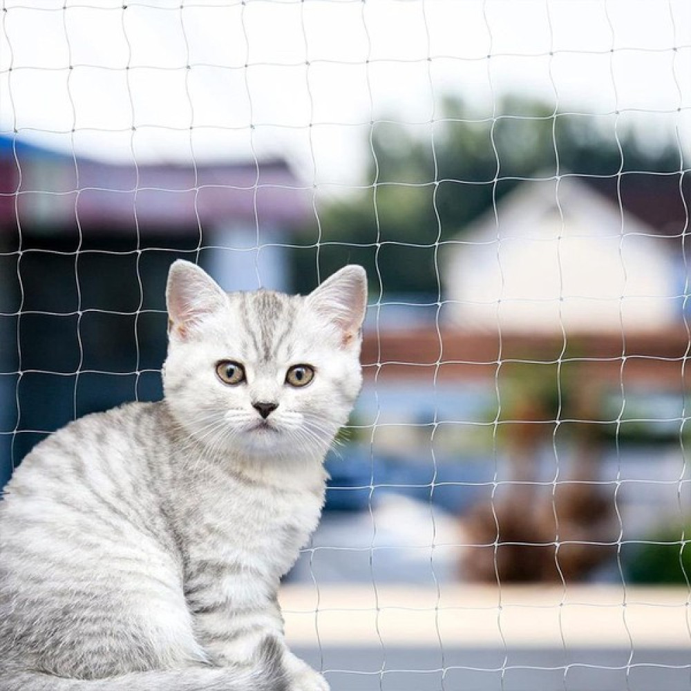 File Antalya Kedi Güvenlik Filesi, Kuş Filesi, Balkon Filesi 3x8 Metre Evcil Hayvan Ürünleri Fiyatı