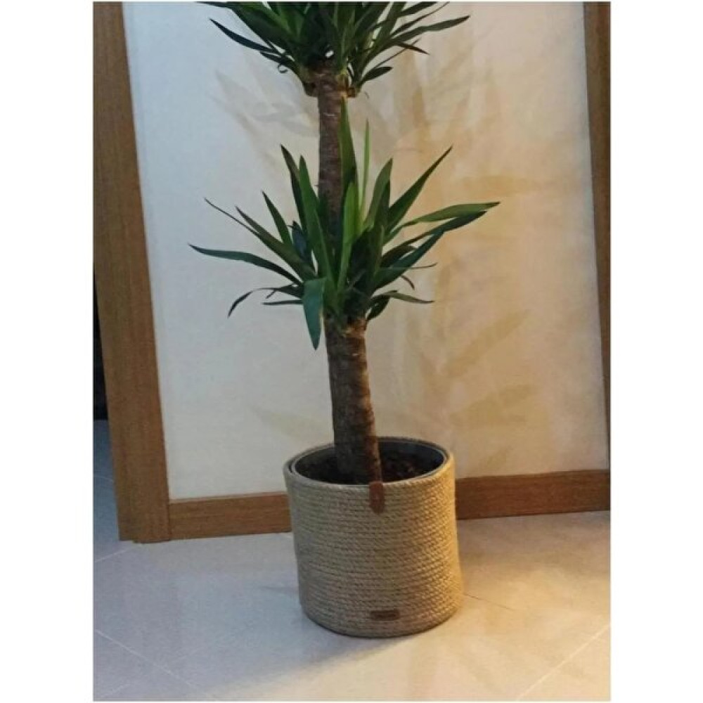 Fingev Hasır Sepet Saksı Sepet Hasır Jüt Ip Sepet Düzenleyici 25X25CM Saksı ve Aksesuarları Fiyatı