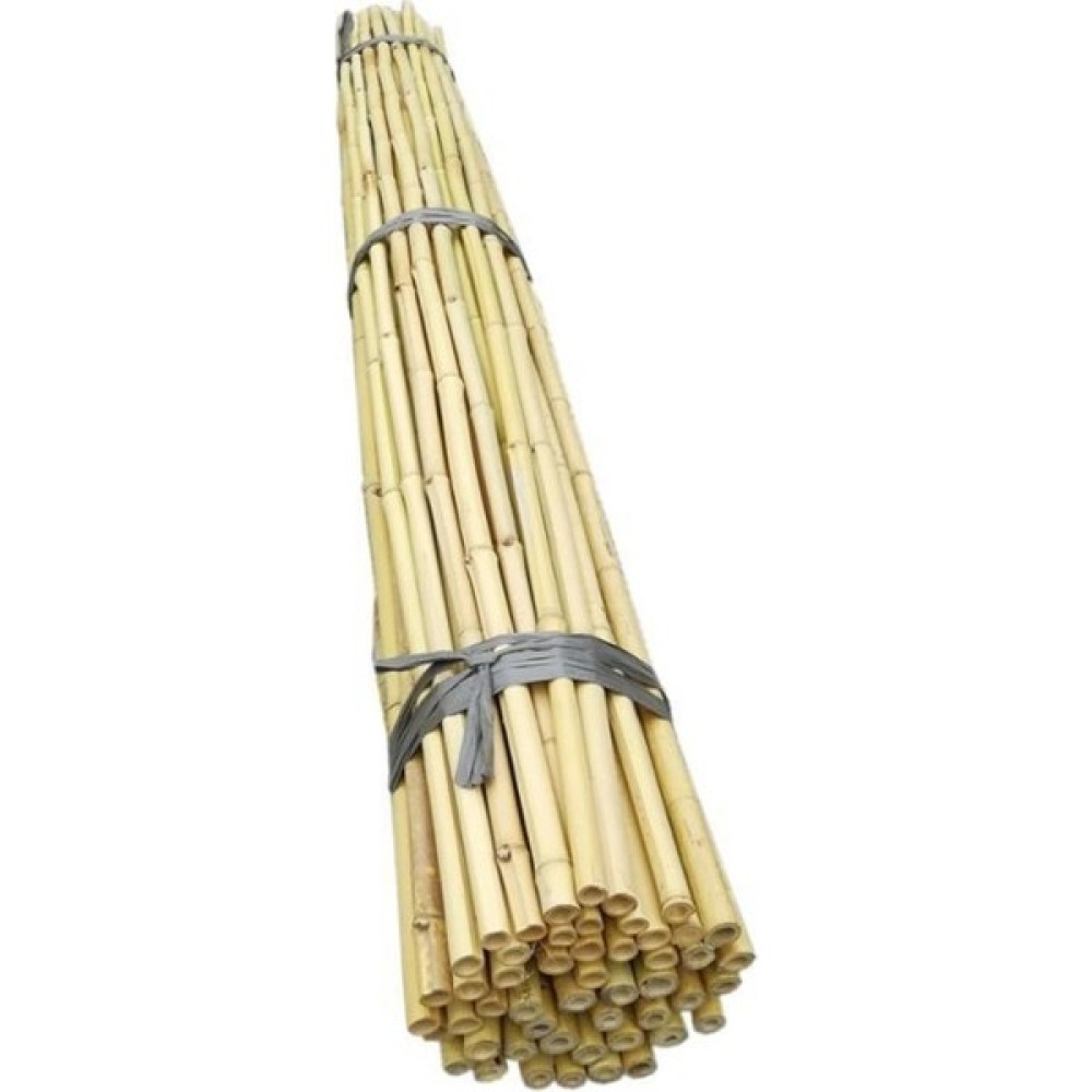 Fitaş Fidancılık Fidan Destek Çubuğu Kamış 25 Adet (140-150 Cm) Fidan Fiyatı