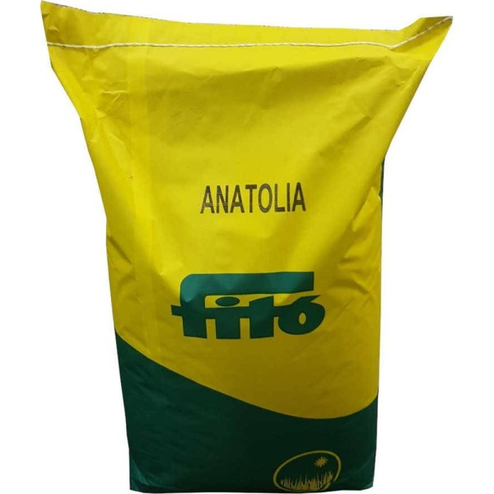 Fito Anatolia Çim Tohumu 6 Karışım (1 Kg) - 1 kg Tohum Fiyatı