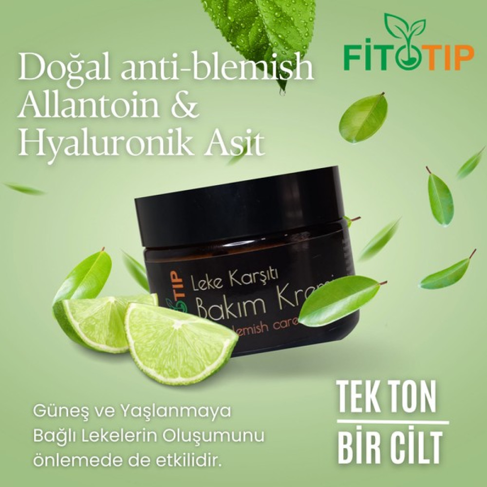 Fitotip Leke Karşıtı Bakım Kremi Oto Boyaları Fiyatı