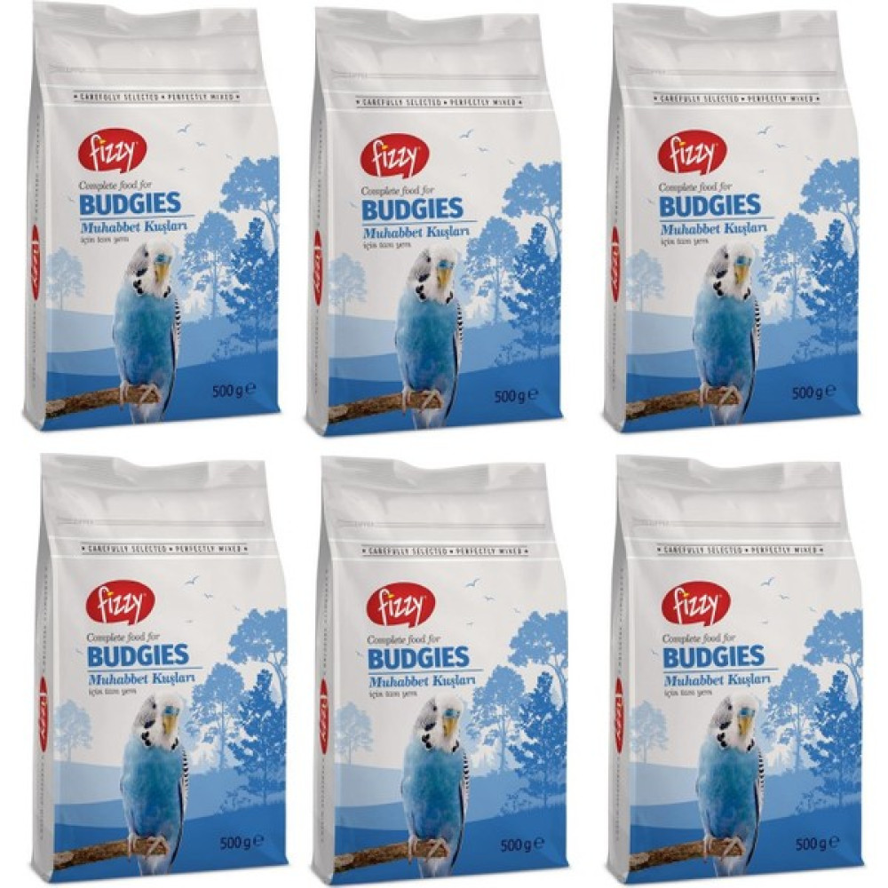 Fizzy Premium Muhabbet Kuşu Yemi 500 gr (6 Adet) Oto Boyaları Fiyatı