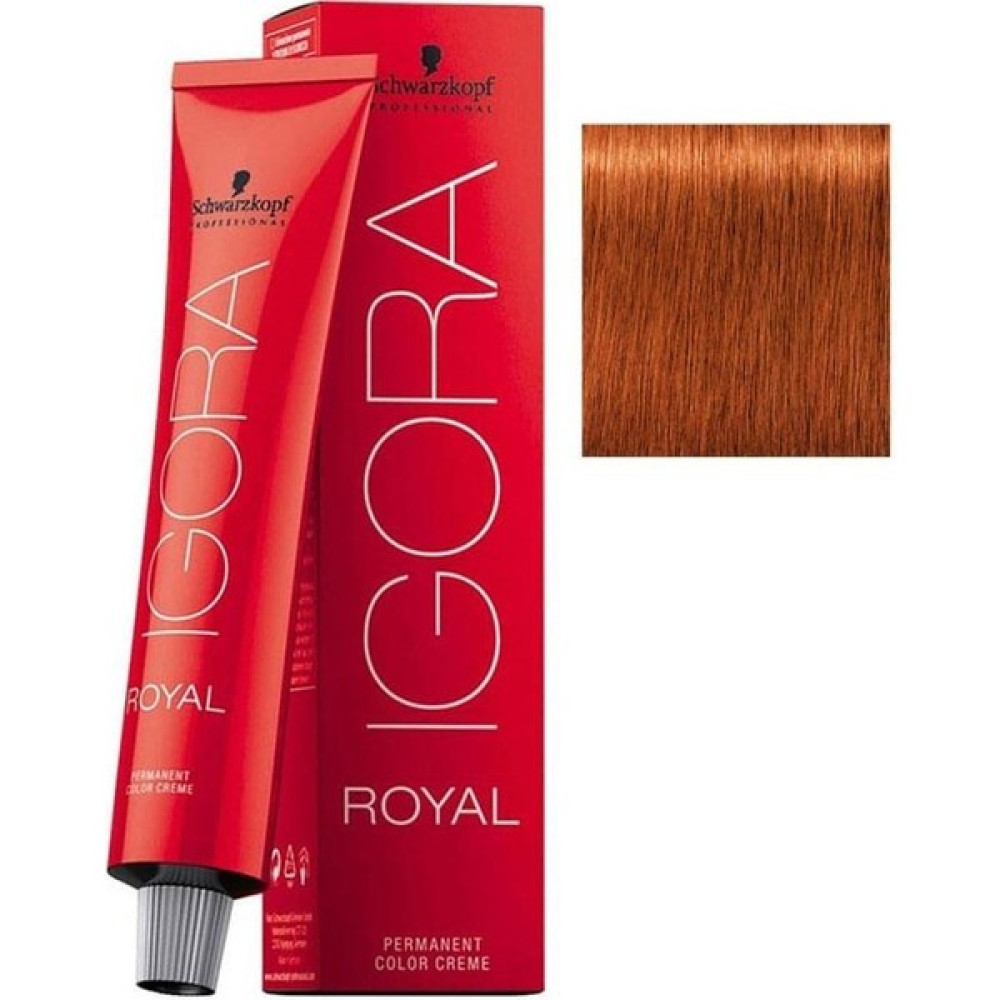 Flex Shop Igora Royal 7-77 Kumral Yoğun Bakır 60 ml Saç Boyası Fiyatı