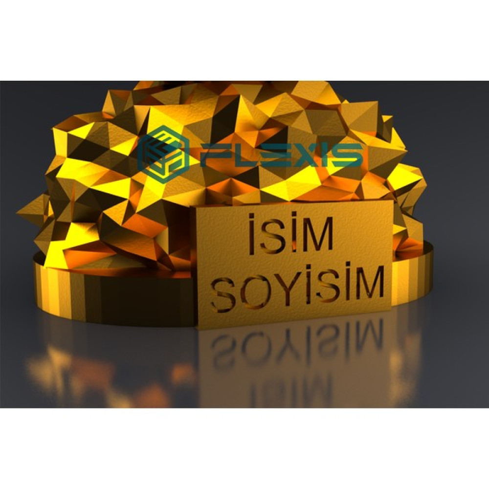 Flexis Isme Özel Fıfa Ballon D'or Maketi Orjinal Gold Kaplama 20 cm Kaliteli Maket Fiyatı