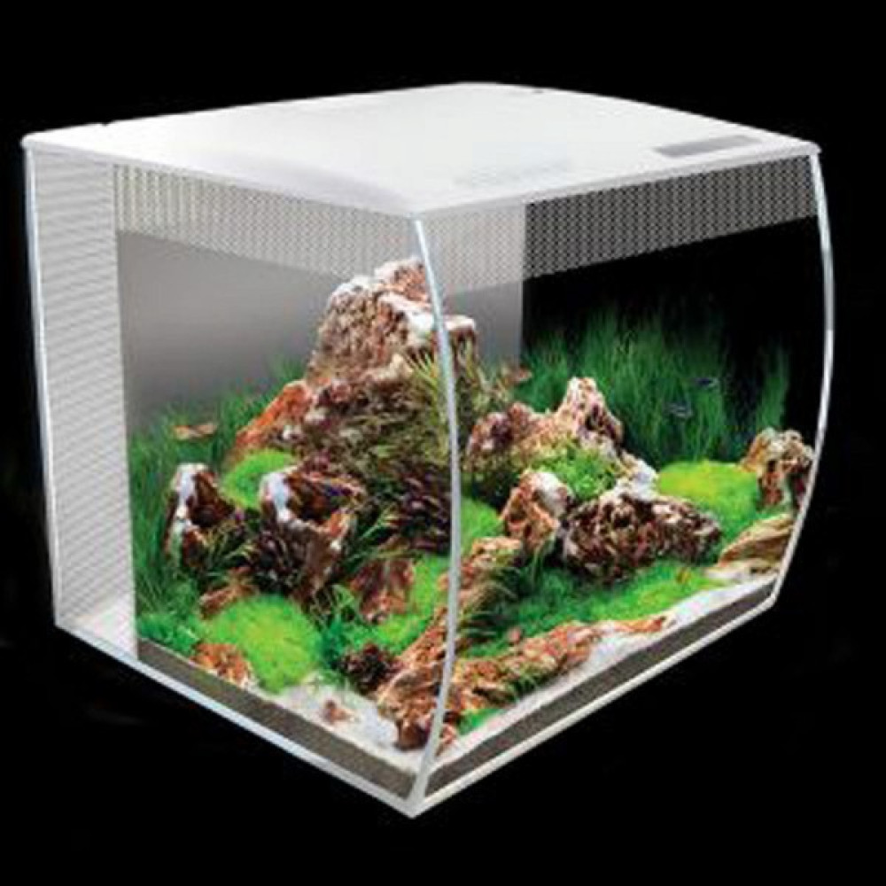 Fluval Flex Akvaryum 34 Lt Beyaz 11 Evcil Hayvan Ürünleri Fiyatı