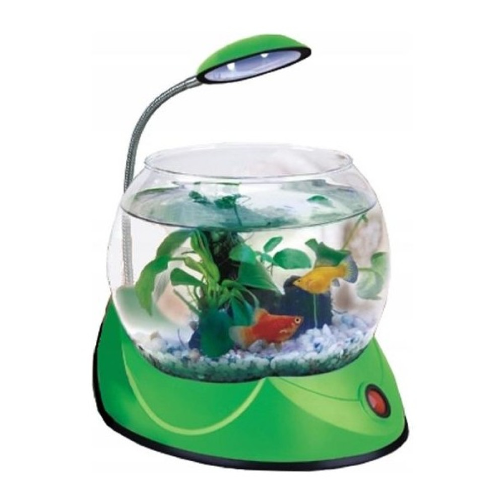 Fluval Hailea V 02 Fanus 1.8lt LED Aydınlatmalı Yeşil Evcil Hayvan Ürünleri Fiyatı