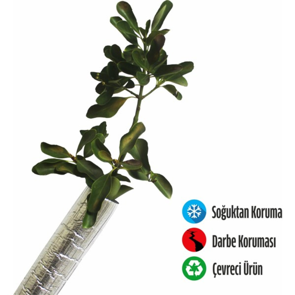 Foam Store Fidan Koruyucu Folyolu Boru 6 mt (L) - 3 Adet Oto Boyaları Fiyatı