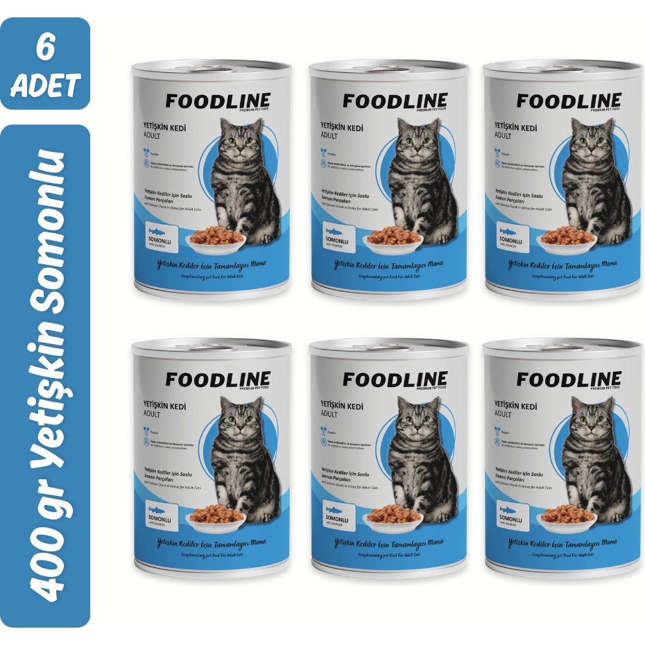 Foodline Somonlu Yetişkin Kedi Konservesi 400 gr x 6 Adet Evcil Hayvan Ürünleri Fiyatı
