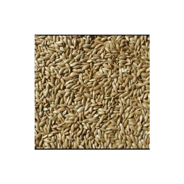 Gaga Yem Kanarya Sade Yem 1 kg Aspur Diğer Fiyatı