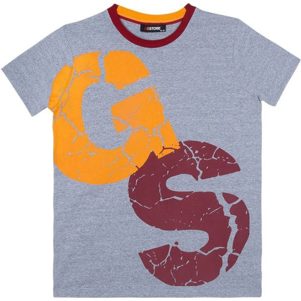 Galatasaray Çocuk Lisanslı Armalı Gri Tshirt C13708 Futbol Malzemeleri Fiyatı