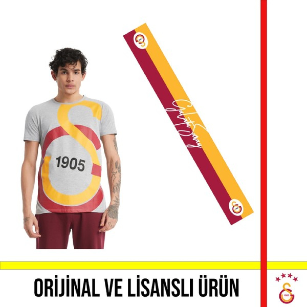 Galatasaray Lisanslı Büyük Logolu Gri T-Shirt ve Galatasaray Yazılı Şal Atkı - L Oto Boyaları Fiyatı