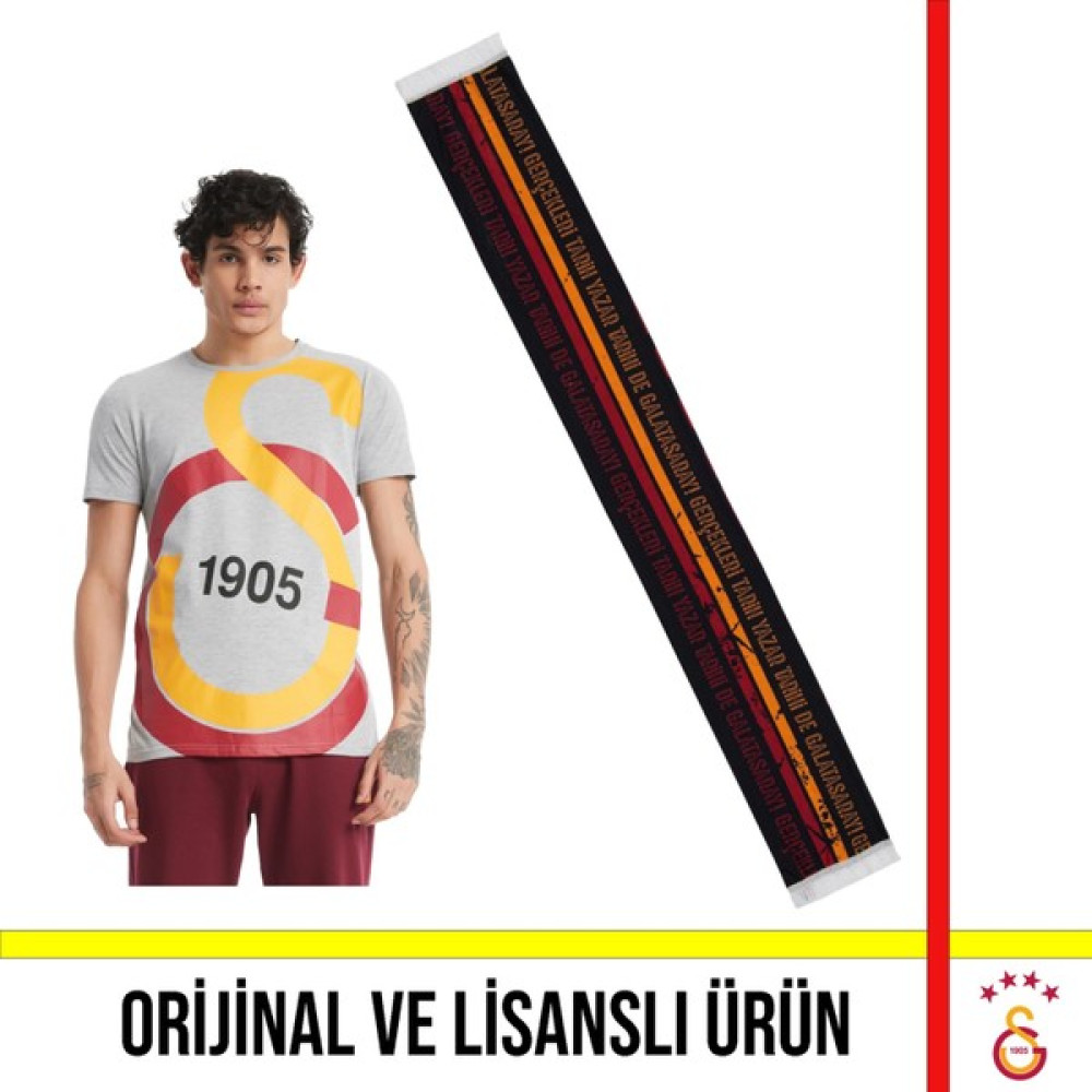 Galatasaray Lisanslı Büyük Logolu Gri T-Shirt ve Siyah Çizgili Şal Atkı - 2XL Oto Boyaları Fiyatı