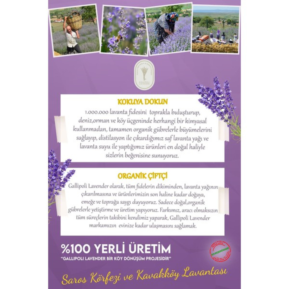 Gallipoli Lavender Lavanta Yağlı Doğal Bitkisel Masaj Yağı 105 ml Aromaterapi Masaj Yağı Bitkisel Yağlar Fiyatı