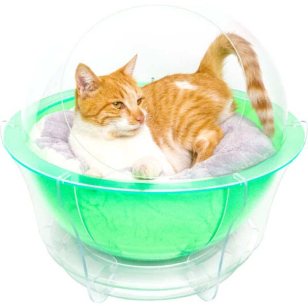 Gamay Group Satürn Kedi Evi ve Renkli Kedi AKSESUARLARI-360° Panoramik Manzaralı Kedi Evleri, Dış Mekan Kedi Oyun Evi ve Şık Pleksi Kedi Evi Modelleri - Yeşil Evcil Hayvan Ürünleri Fiyatı