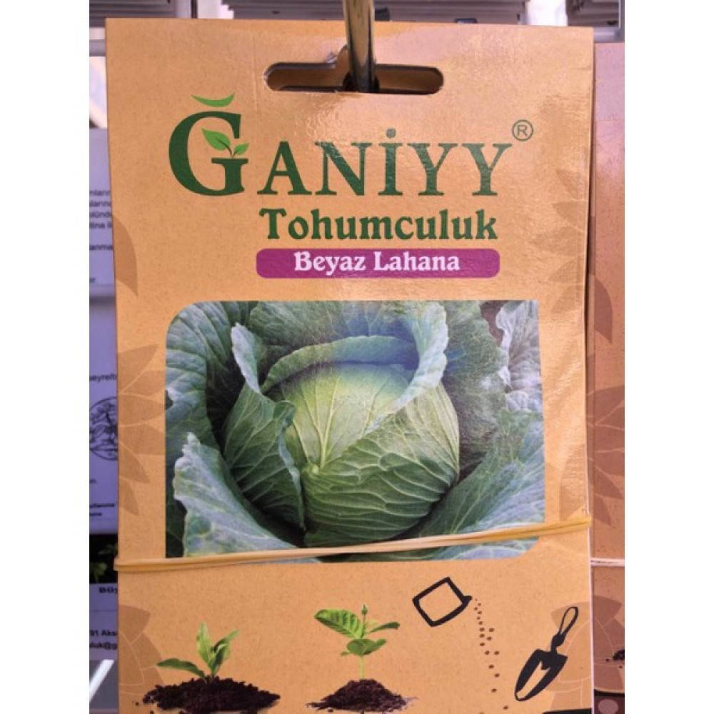 Ganiyy Beyaz Lahana Tohumu Güvenilir - 1 gr Oto Boyaları Fiyatı