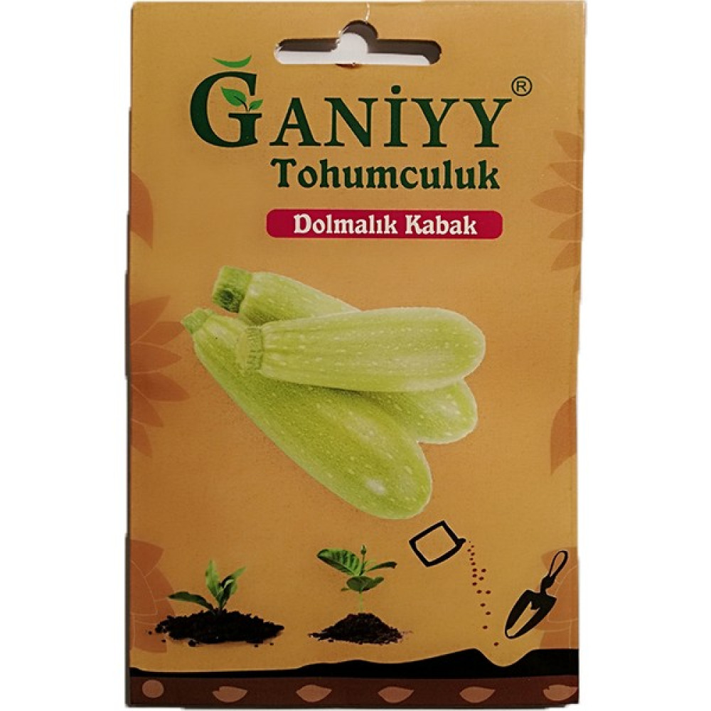 Ganiyy Dolmalık Kabak Tohumu - 1 Adet Oto Boyaları Fiyatı