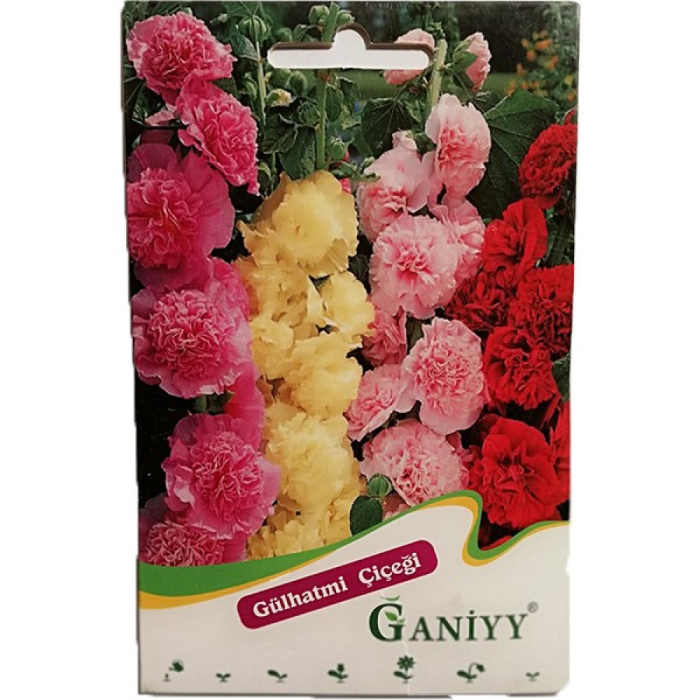 Ganiyy Gülhatmi Çiçeği Tohumu - 1 Adet Oto Boyaları Fiyatı