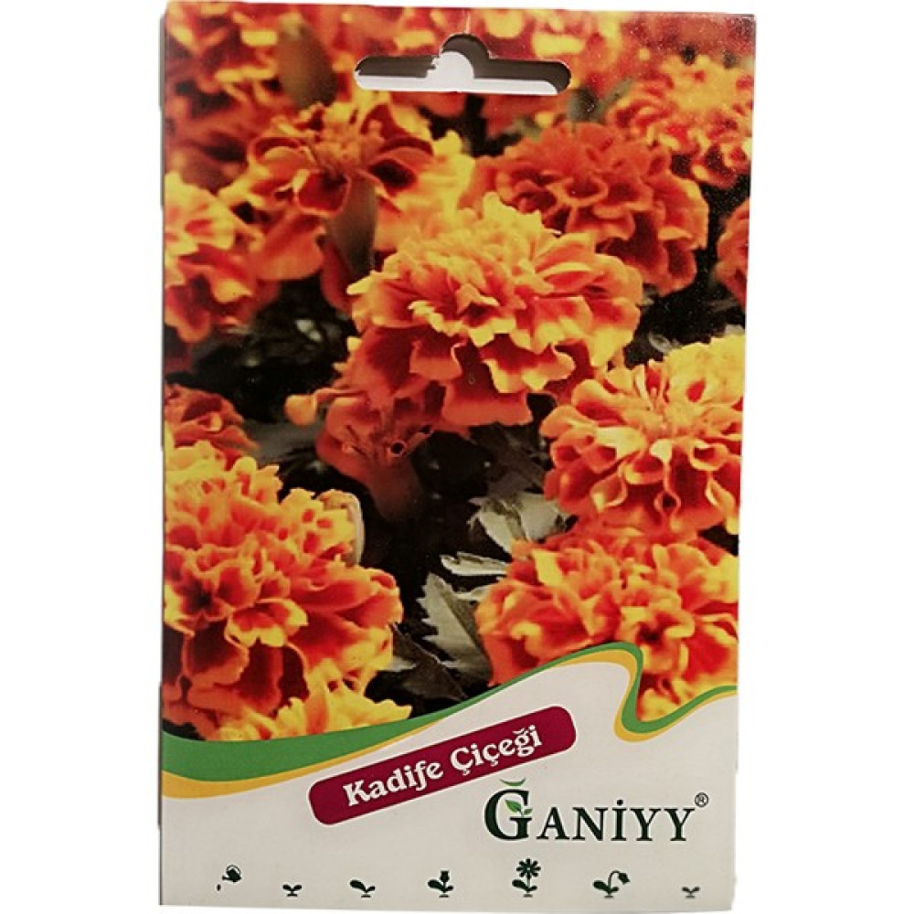 Ganiyy Kadife Çiçeği Tohumu - 1 Adet Oto Boyaları Fiyatı