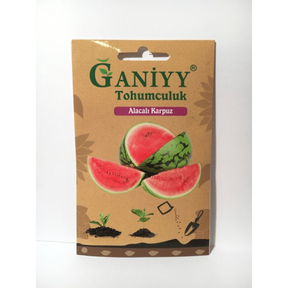 Ganiyy Karpuz Tohumu - 1 Adet Oto Boyaları Fiyatı