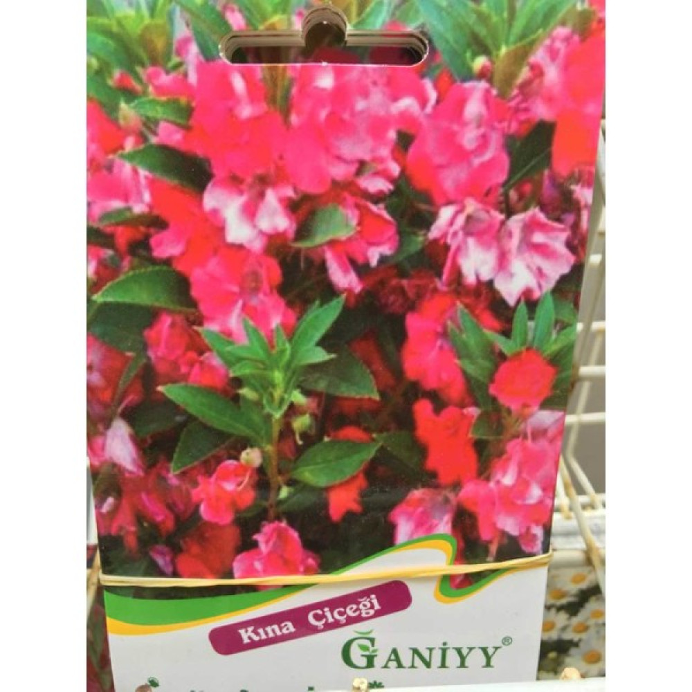 Ganiyy Kına Çiçeği Tohumu Güvenilir - 1 gr Oto Boyaları Fiyatı