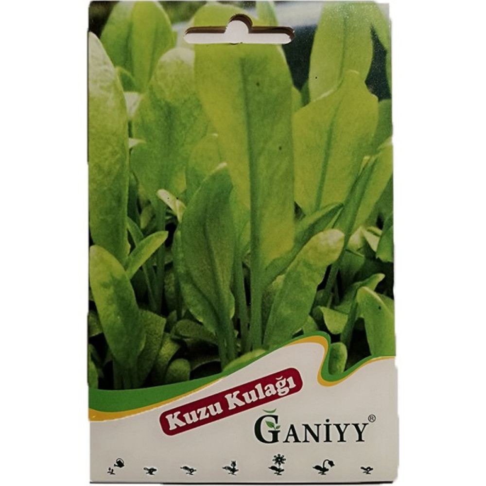 Ganiyy Kuzu Kulağı Tohumu - 1 Adet Oto Boyaları Fiyatı