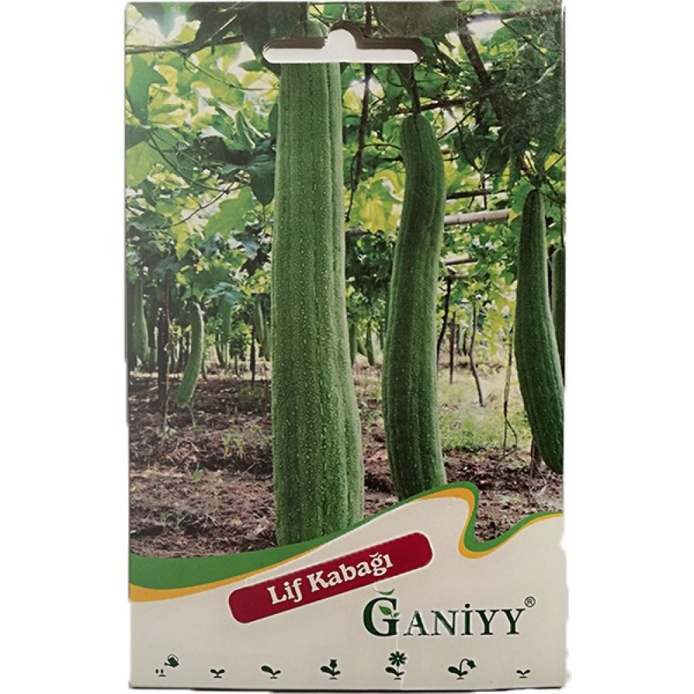 Ganiyy Lif Kabağı Tohumu - 1 Adet Tohum Fiyatı