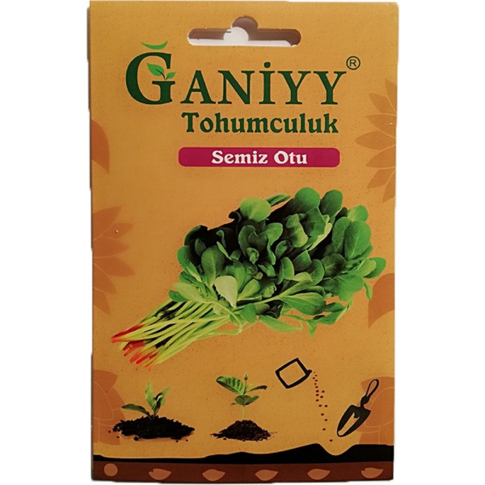Ganiyy Semiz Otu Tohumu - 1 Adet Tohum Fiyatı