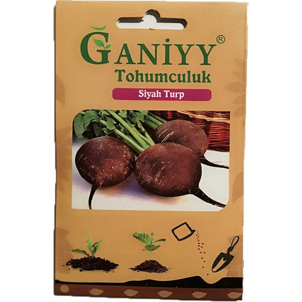 Ganiyy Siyah Turp Tohumu - 1 Adet Tohum Fiyatı