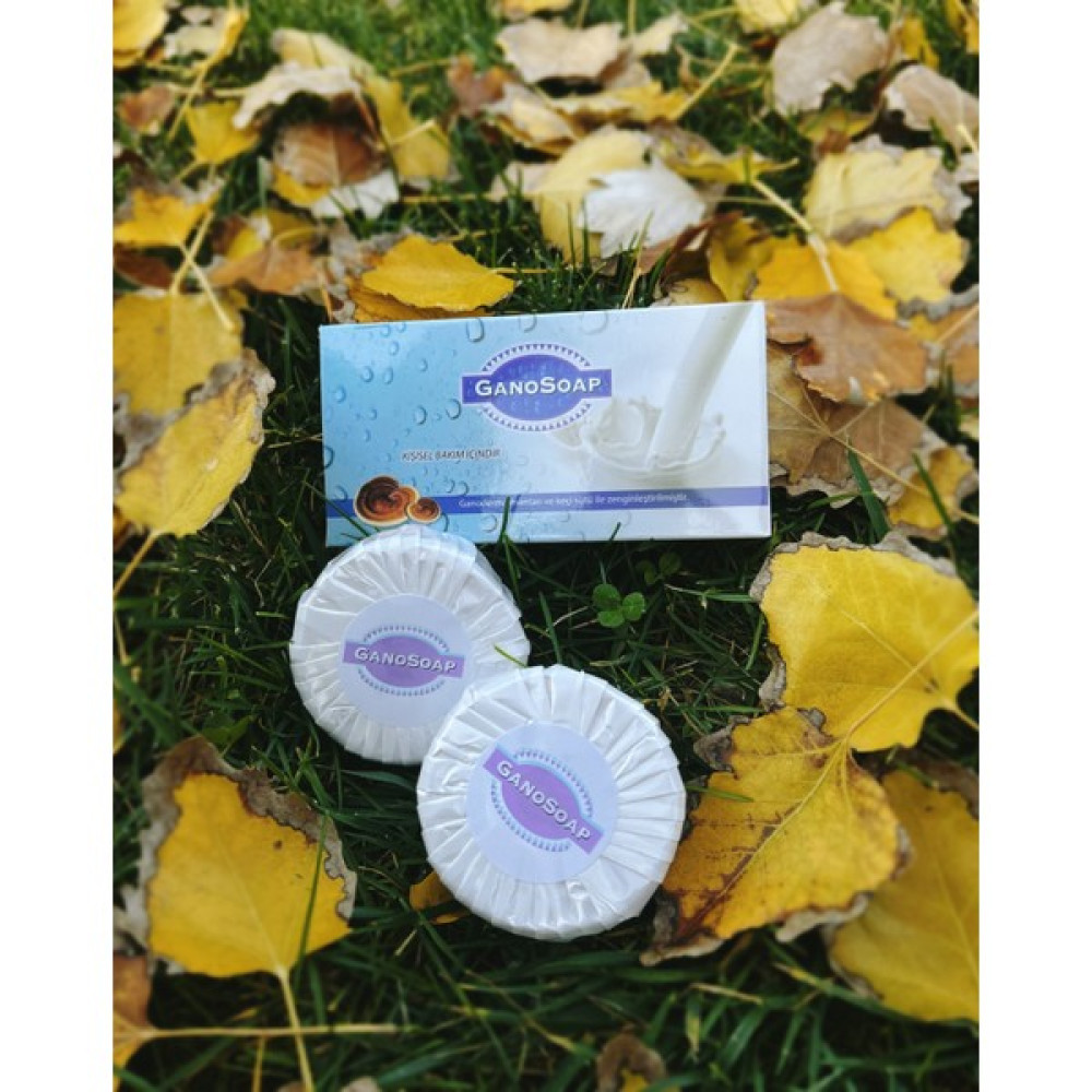 Gano Excel Gano Soap Ganoderma Mantarlı ve Keçi Sütlü Sabun (2X100GR) Sabunlar Fiyatı
