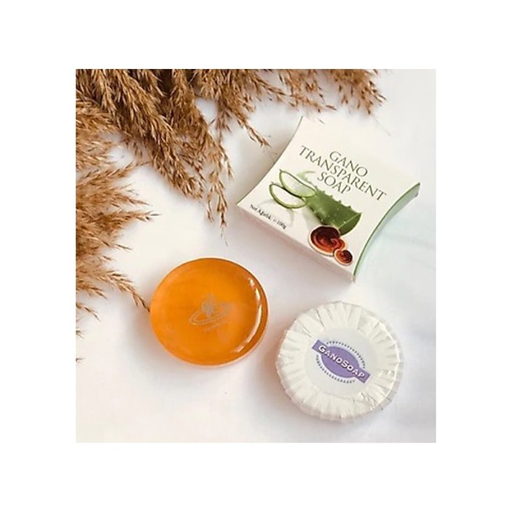 Gano Soap Keçi Sütlü Sabun 1 Ad ve Transparent Şeffaf Sabun 1 Ad Sabunlar Fiyatı